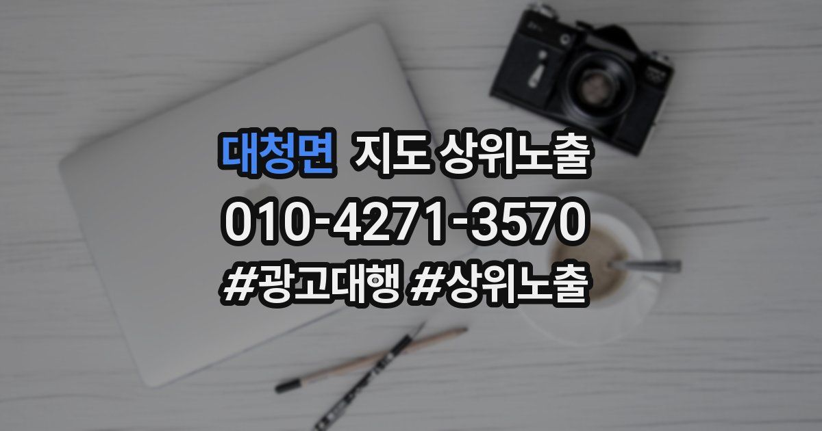 대청면 지도 상위 노출