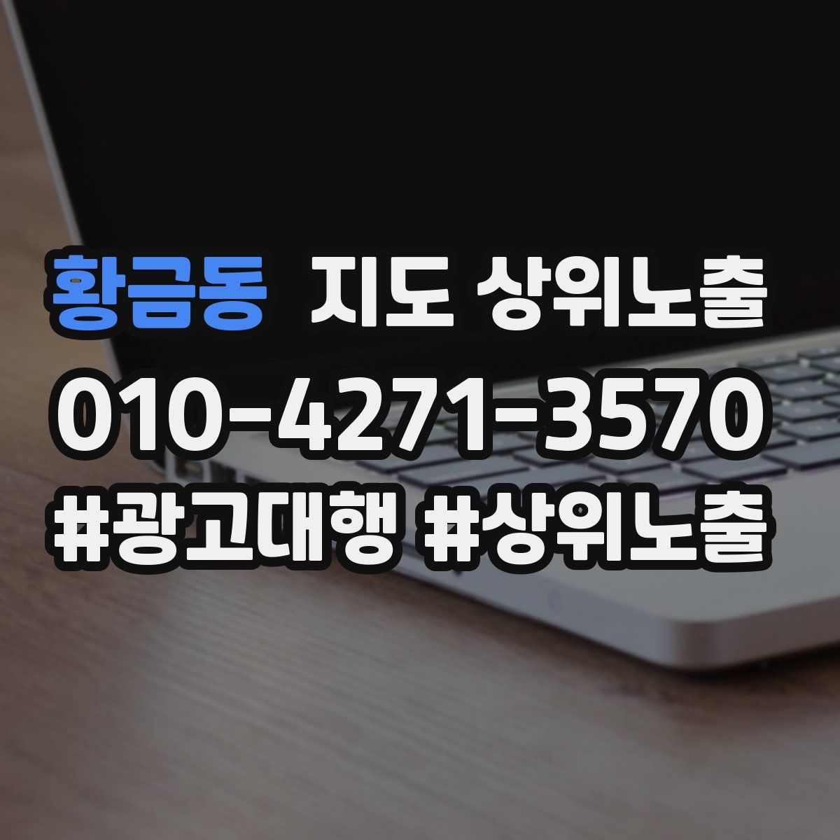 황금동 지도 상위 노출