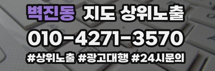 벽진동 지도 상위 노출