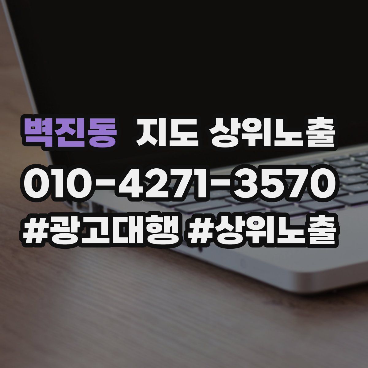 벽진동 지도 상위 노출