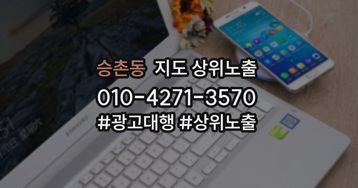 승촌동 지도 상위 노출