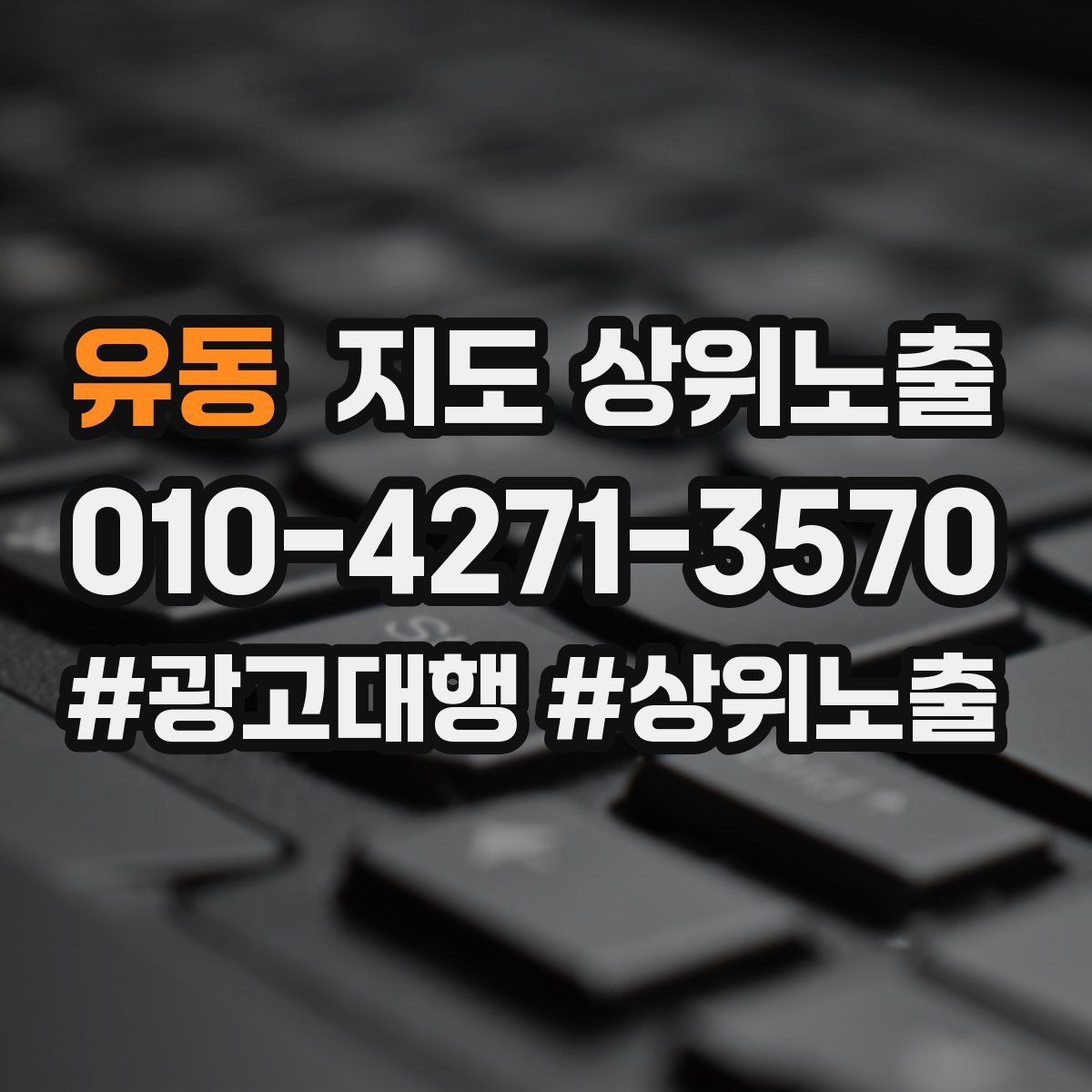 유동 지도 상위 노출