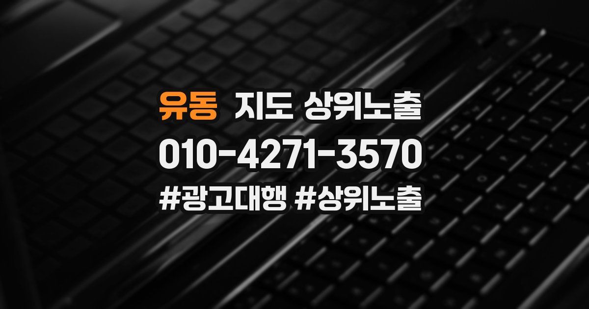 유동 지도 상위 노출