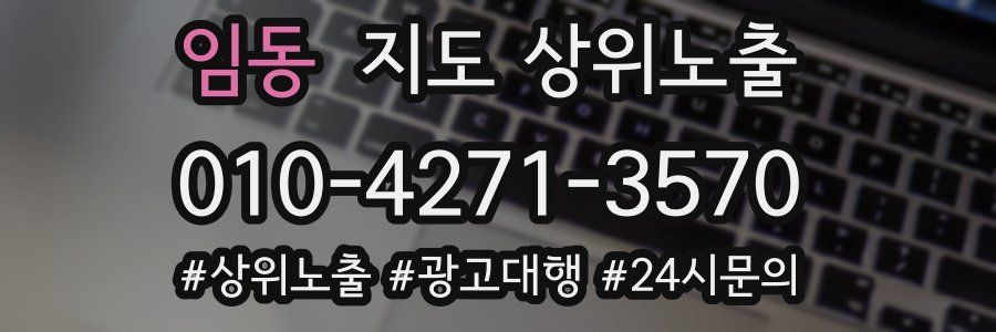 임동 지도 상위 노출