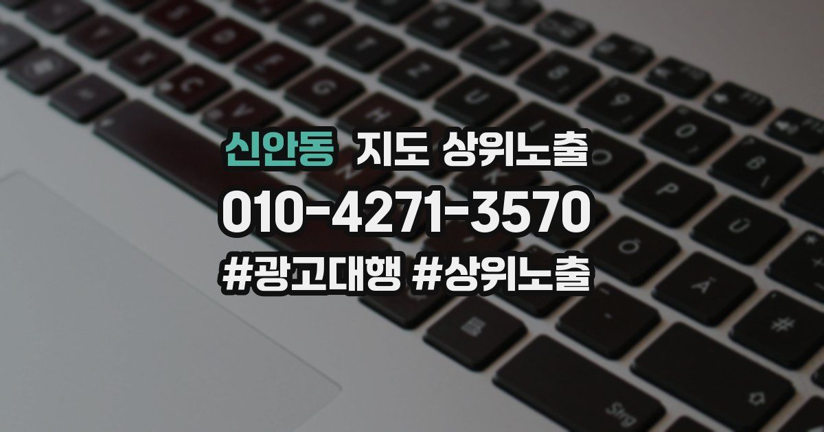 신안동 지도 상위 노출