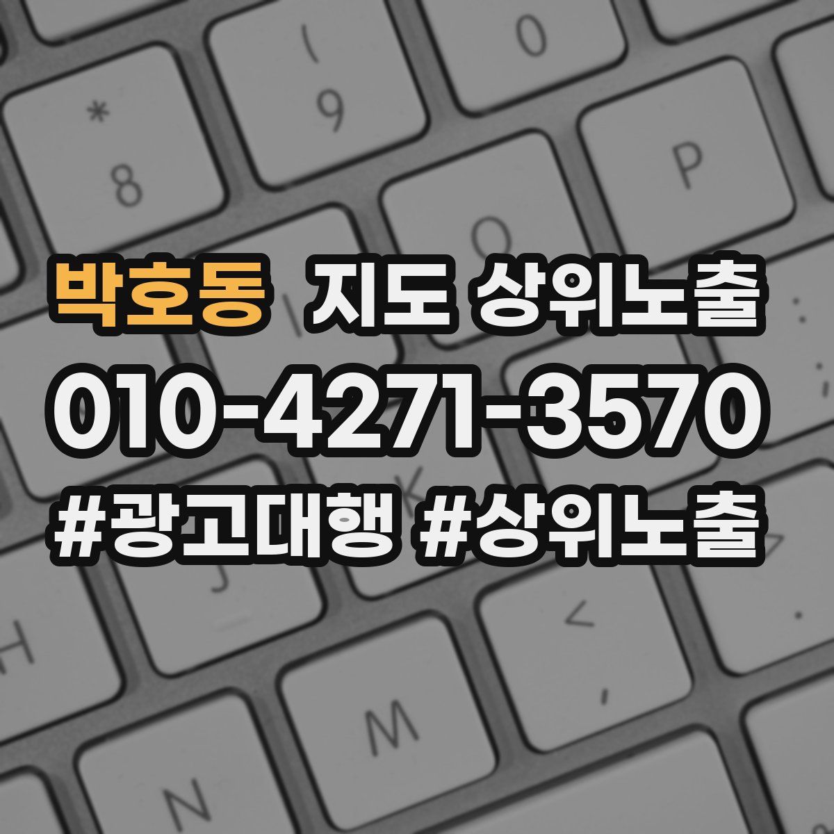 박호동 지도 상위 노출