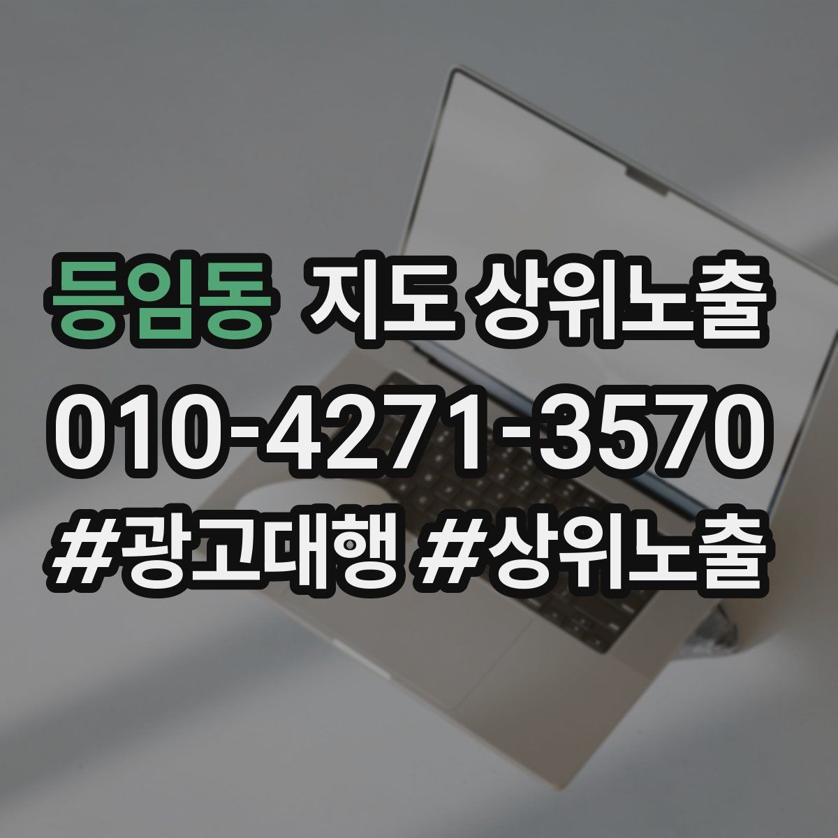 등임동 지도 상위 노출