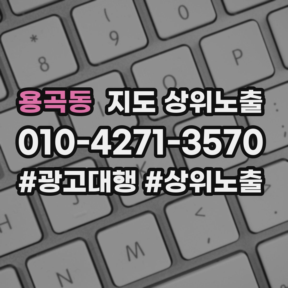용곡동 지도 상위 노출