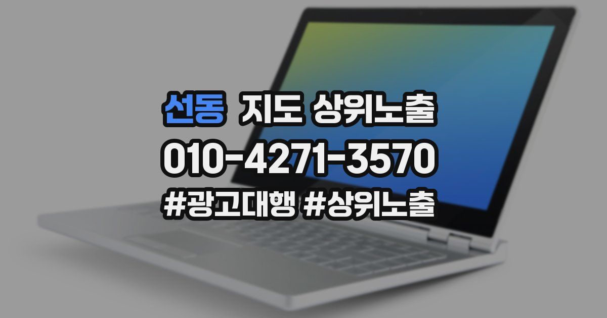 선동 지도 상위 노출