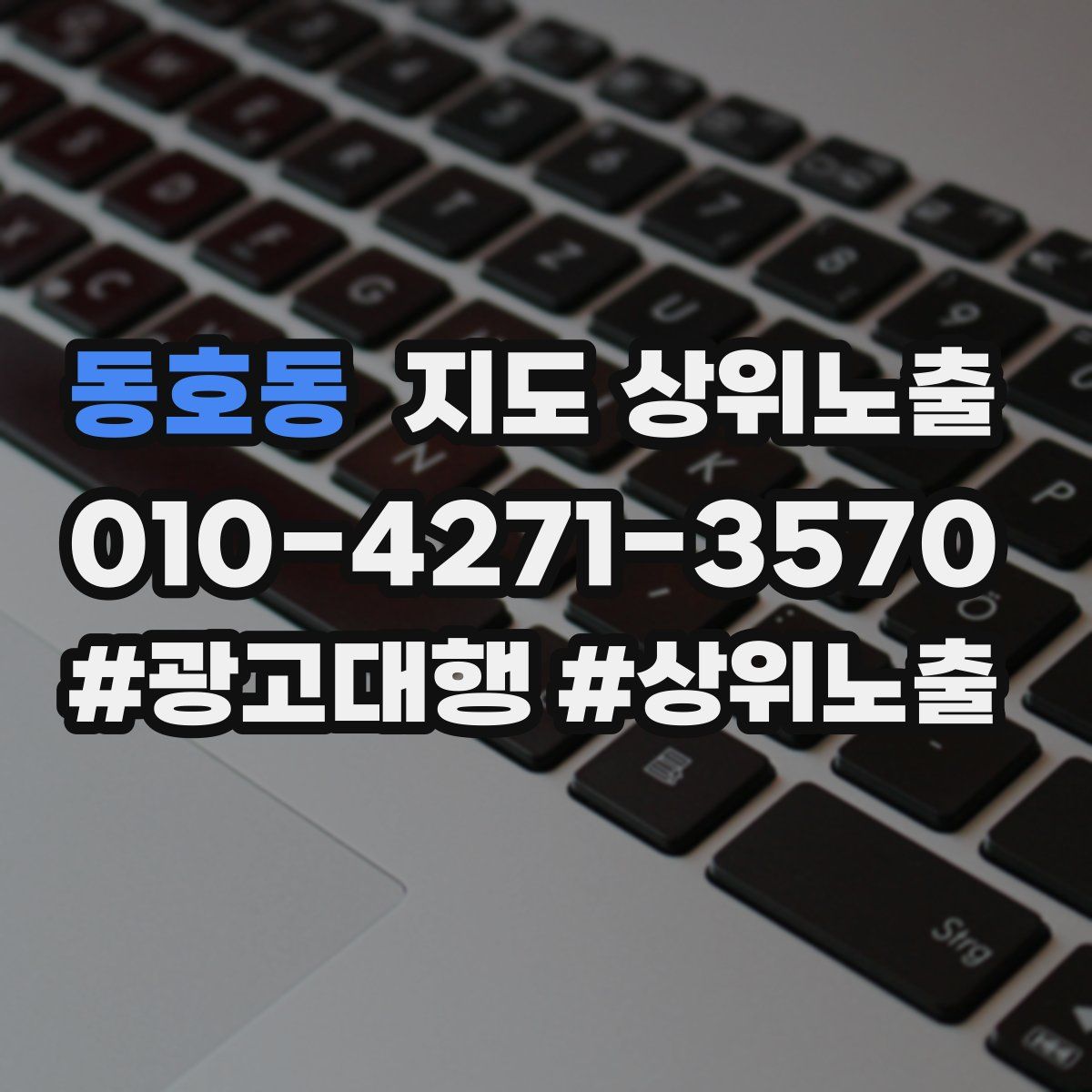 동호동 지도 상위 노출