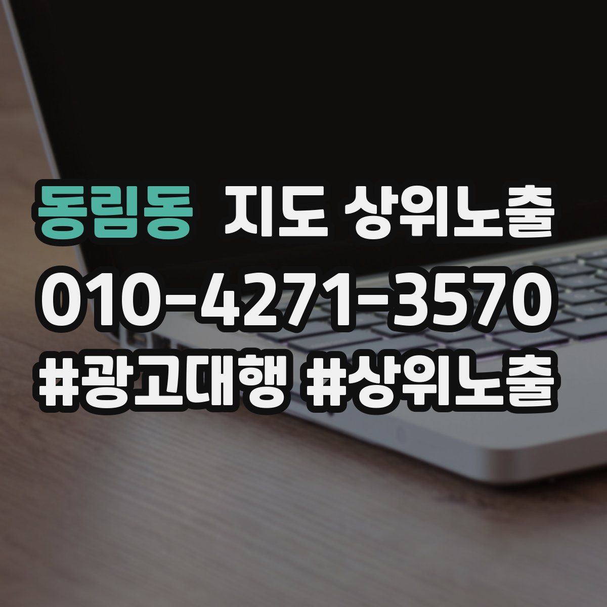 동림동 지도 상위 노출