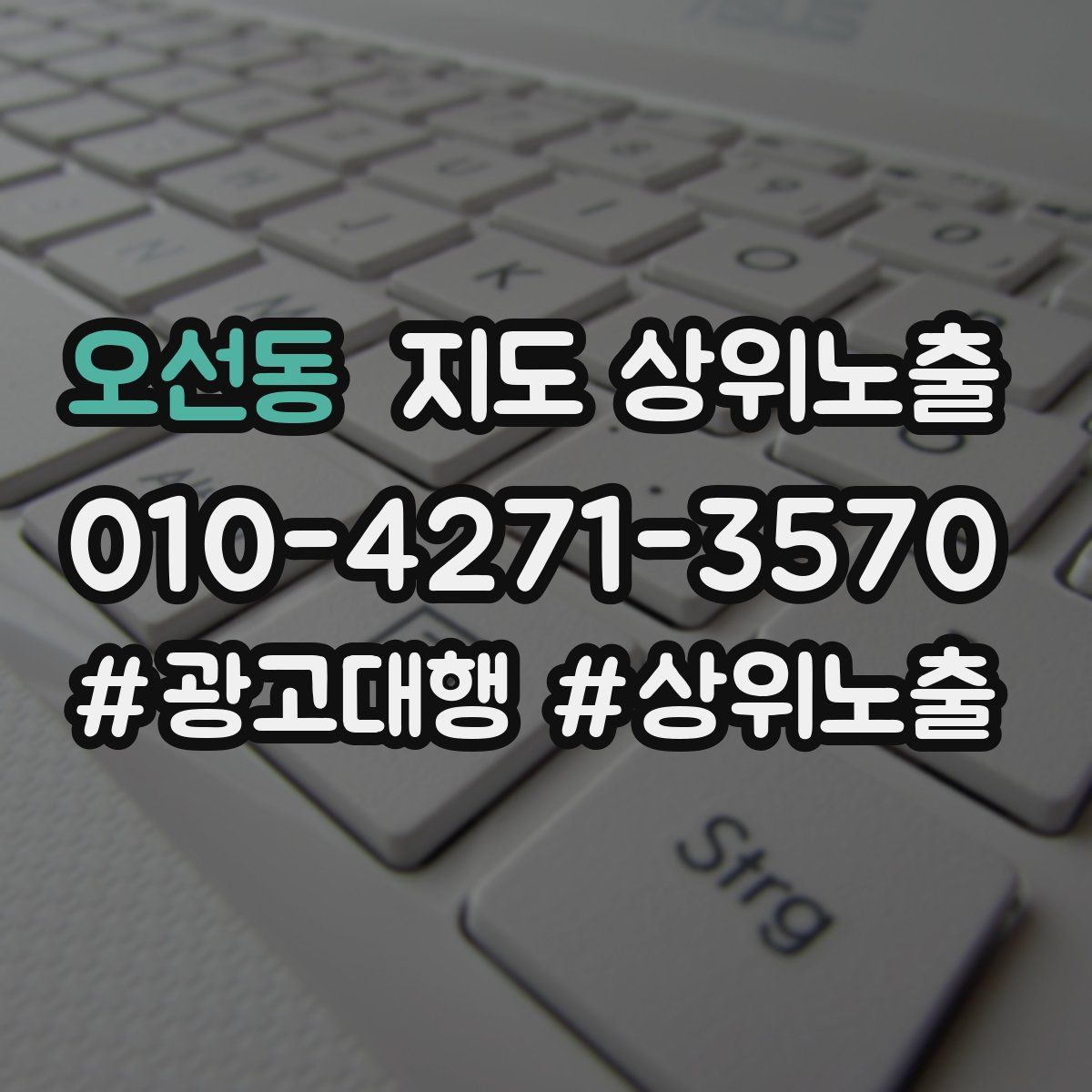 오선동 지도 상위 노출