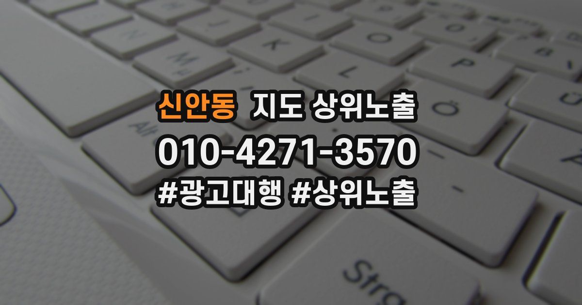 신안동 지도 상위 노출