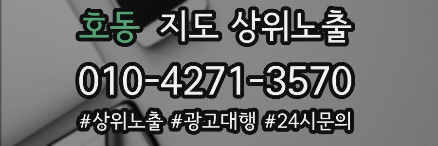 호동 지도 상위 노출