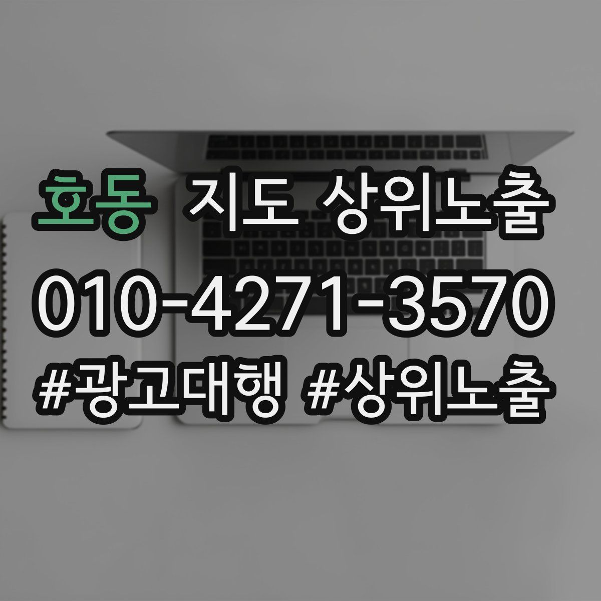 호동 지도 상위 노출