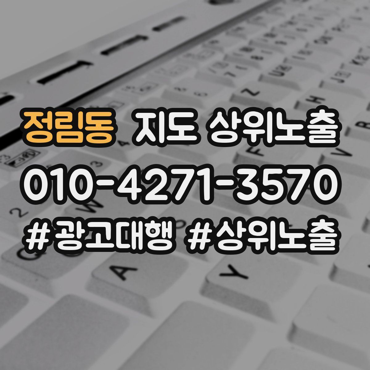 정림동 지도 상위 노출