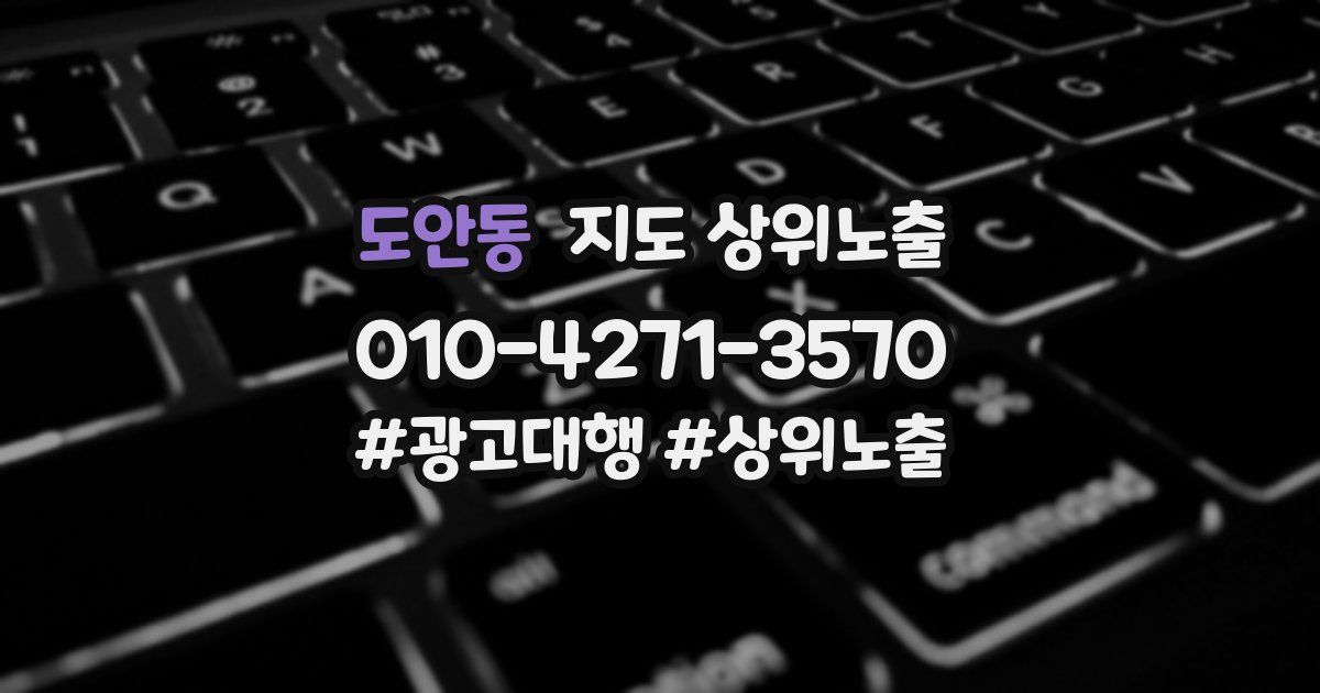도안동 지도 상위 노출