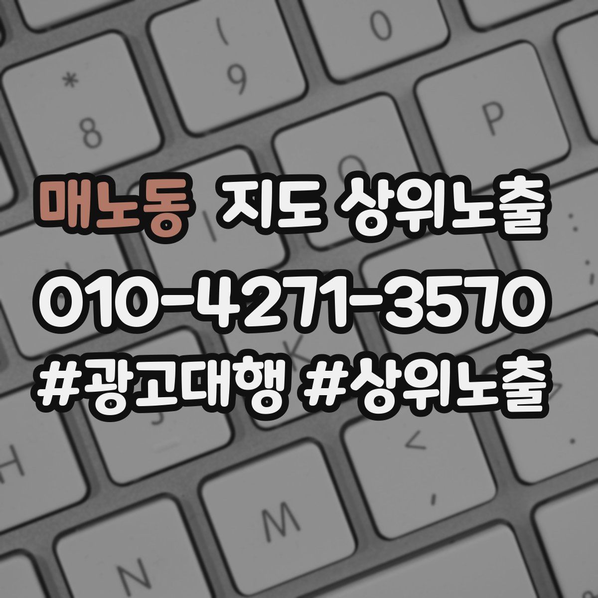 매노동 지도 상위 노출