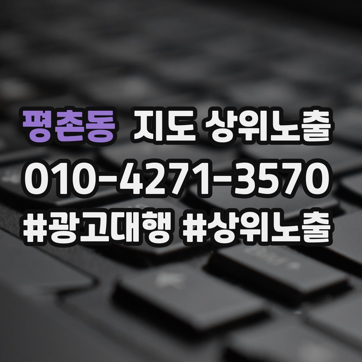 평촌동 지도 상위 노출