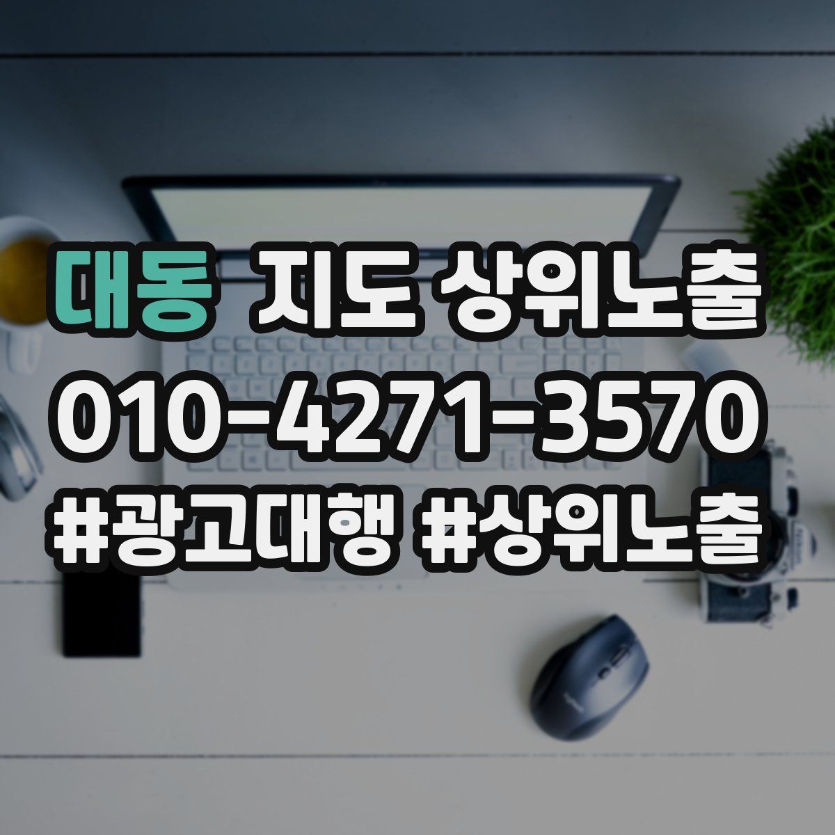 대동 지도 상위 노출