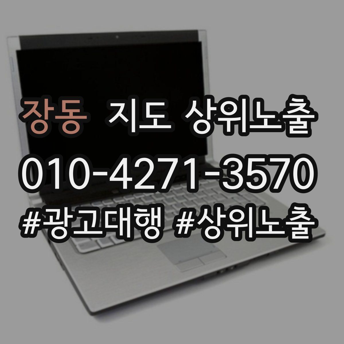 장동 지도 상위 노출