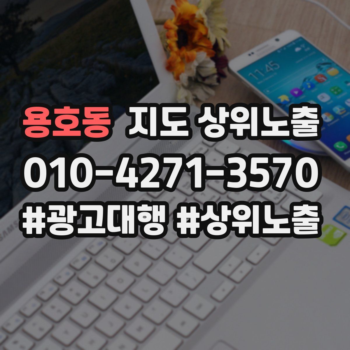 용호동 지도 상위 노출