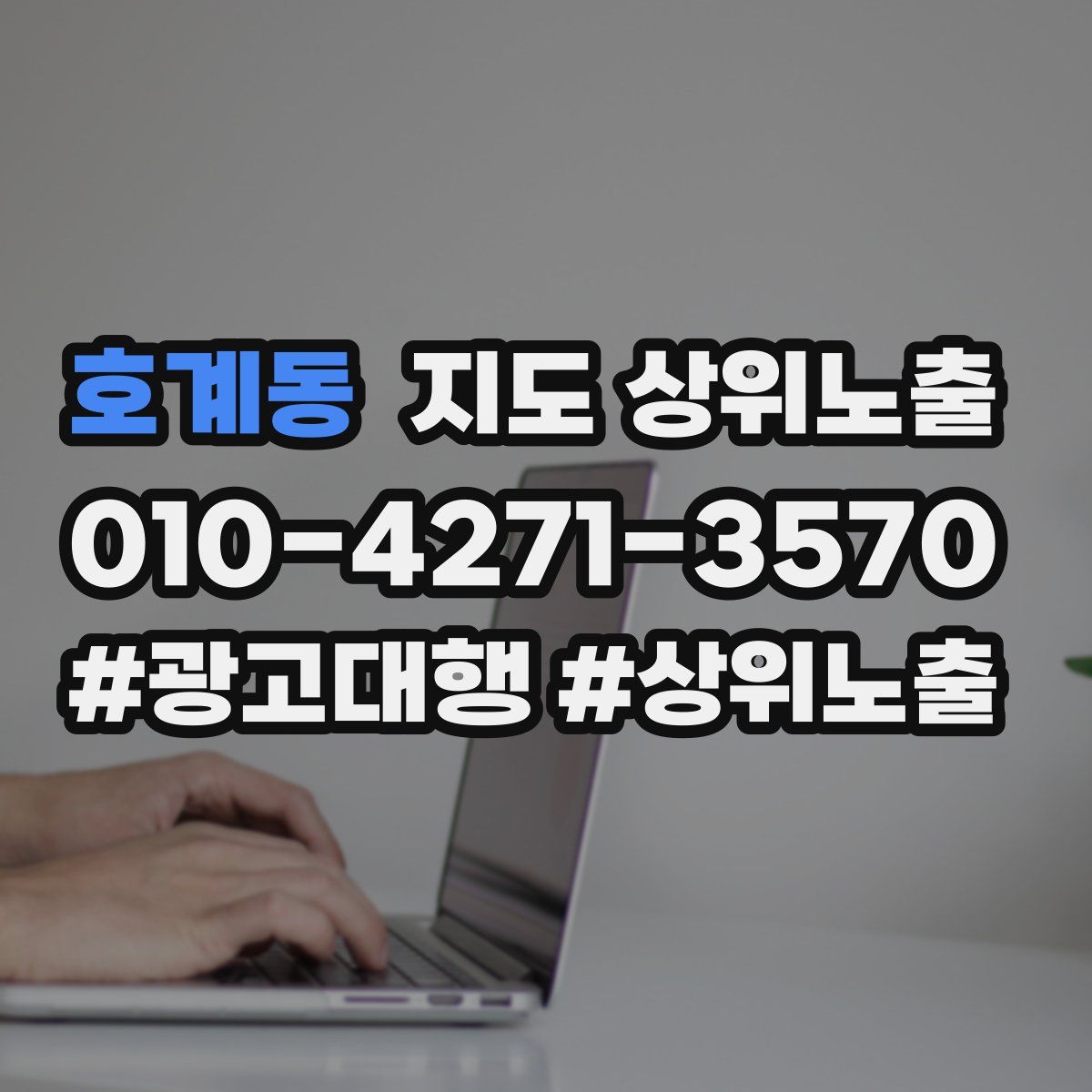 호계동 지도 상위 노출