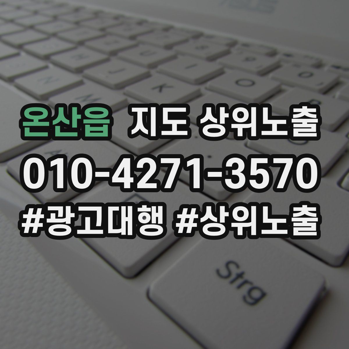 온산읍 지도 상위 노출