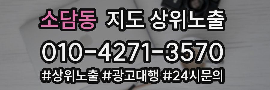 소담동 지도 상위 노출