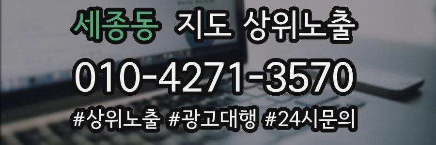 세종동 지도 상위 노출