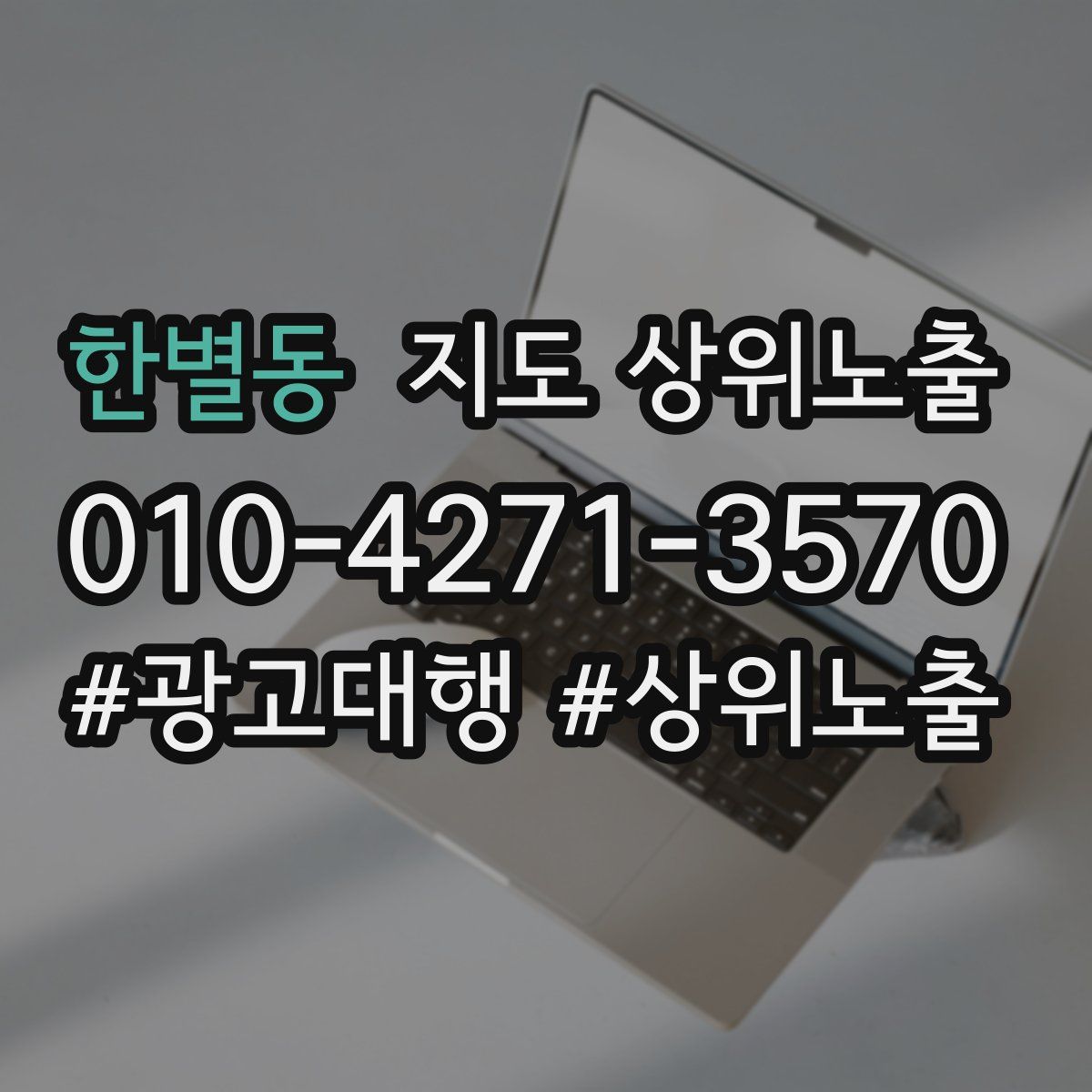 한별동 지도 상위 노출