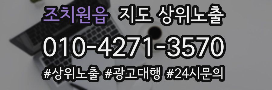 조치원읍 지도 상위 노출