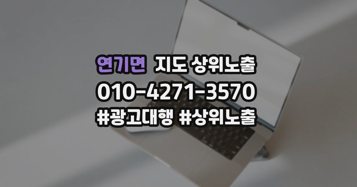 연기면 지도 상위 노출