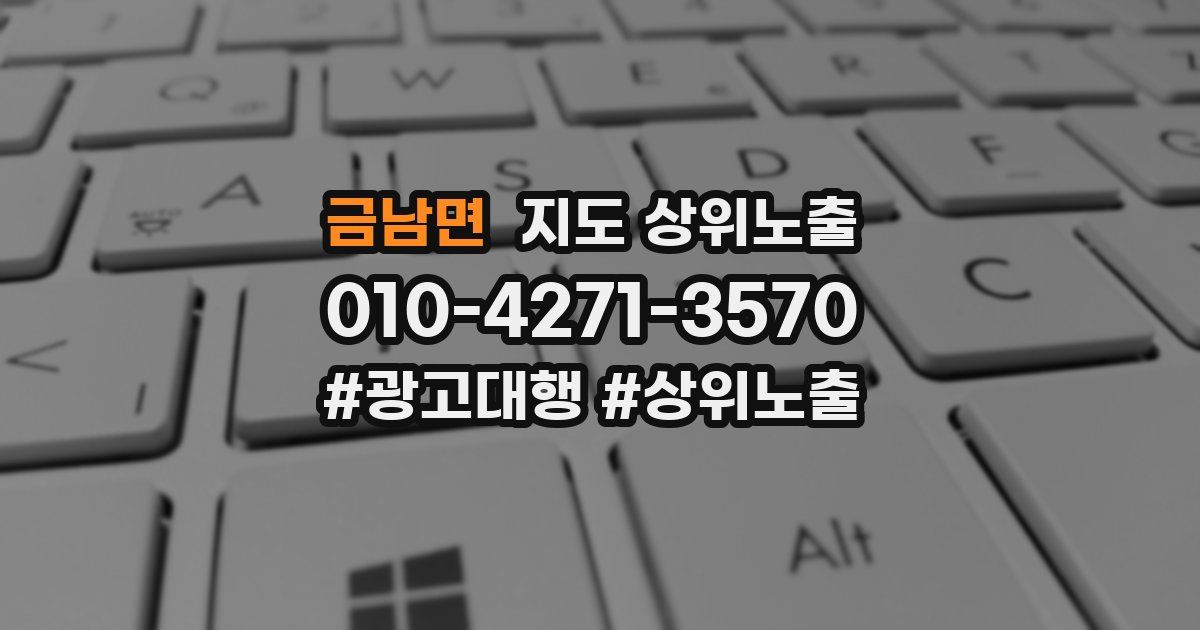 금남면 지도 상위 노출