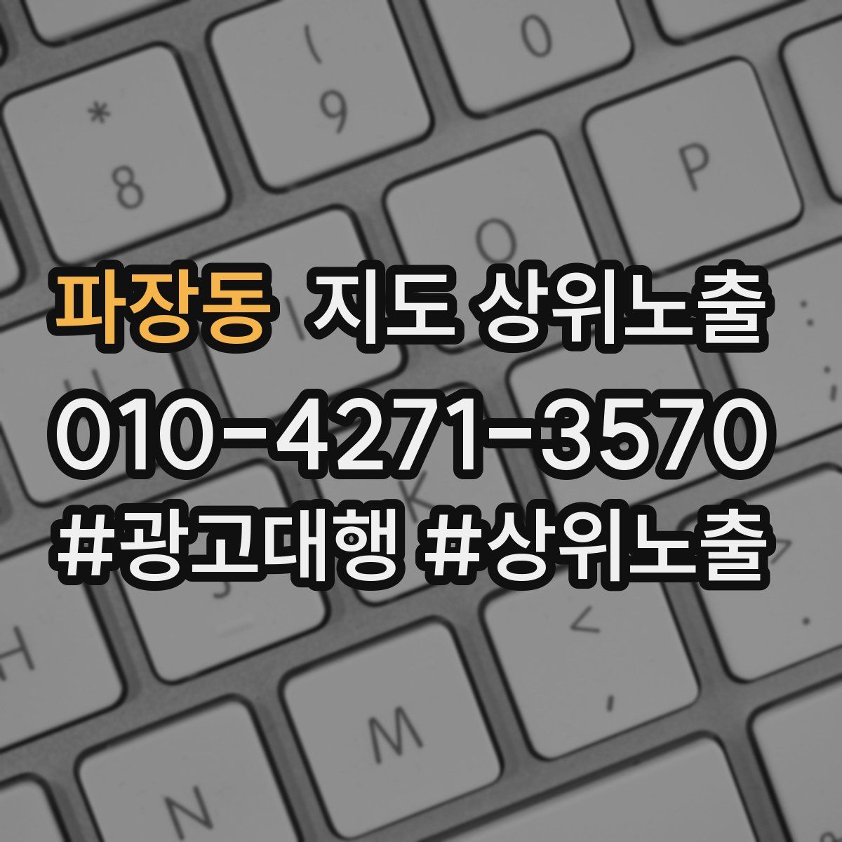 파장동 지도 상위 노출