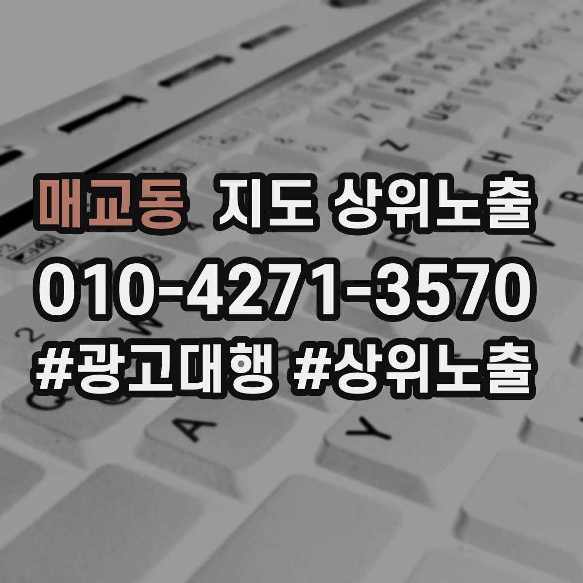 매교동 지도 상위 노출