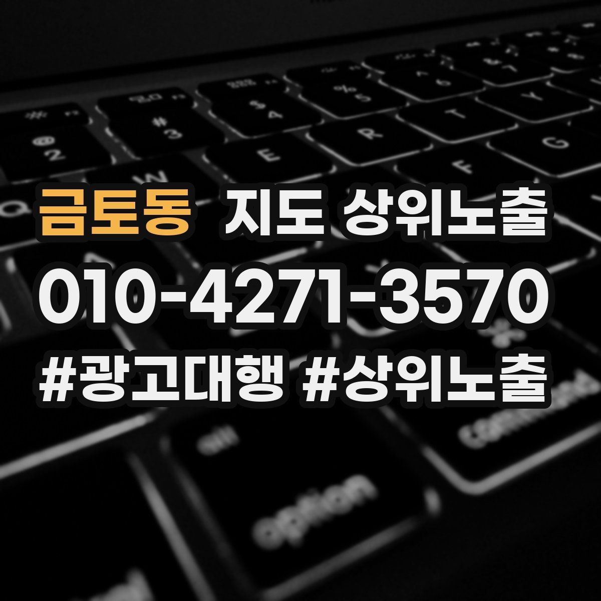 금토동 지도 상위노출 테스트확대 순서로 안정적으로 키우기
