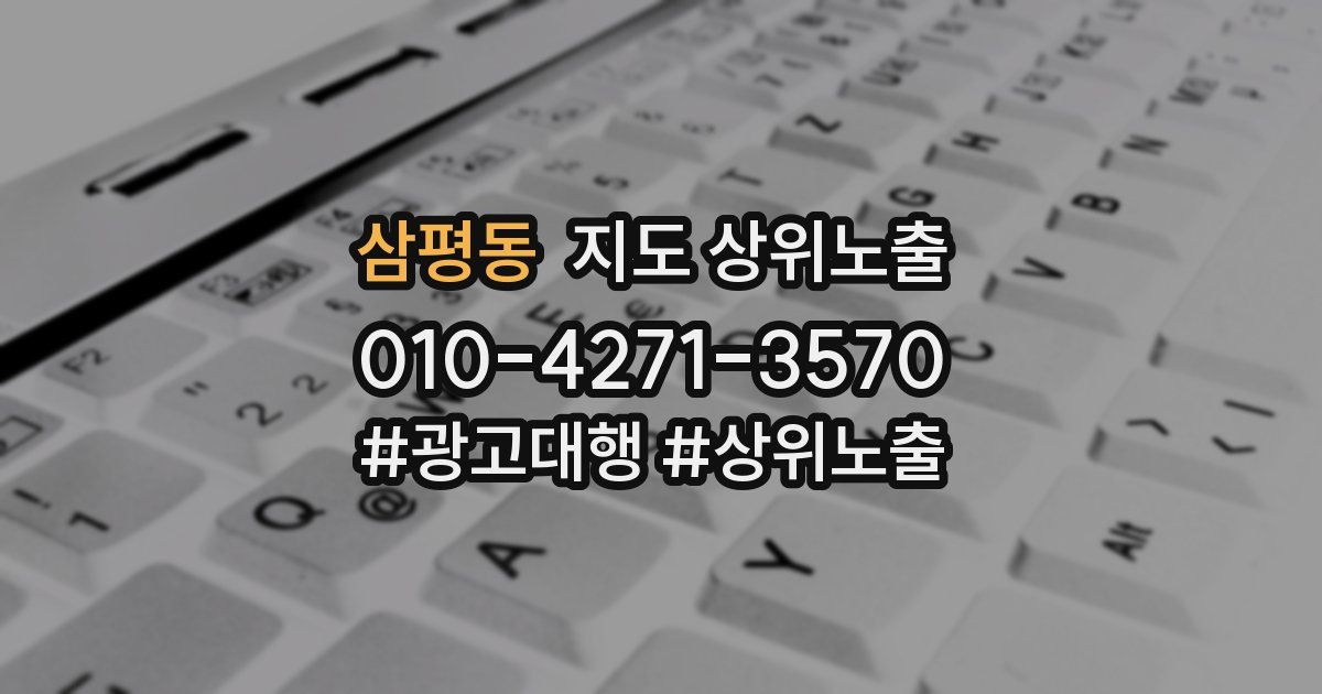 삼평동 지도 상위 노출