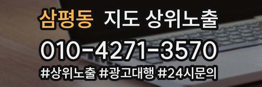 삼평동 지도 상위 노출