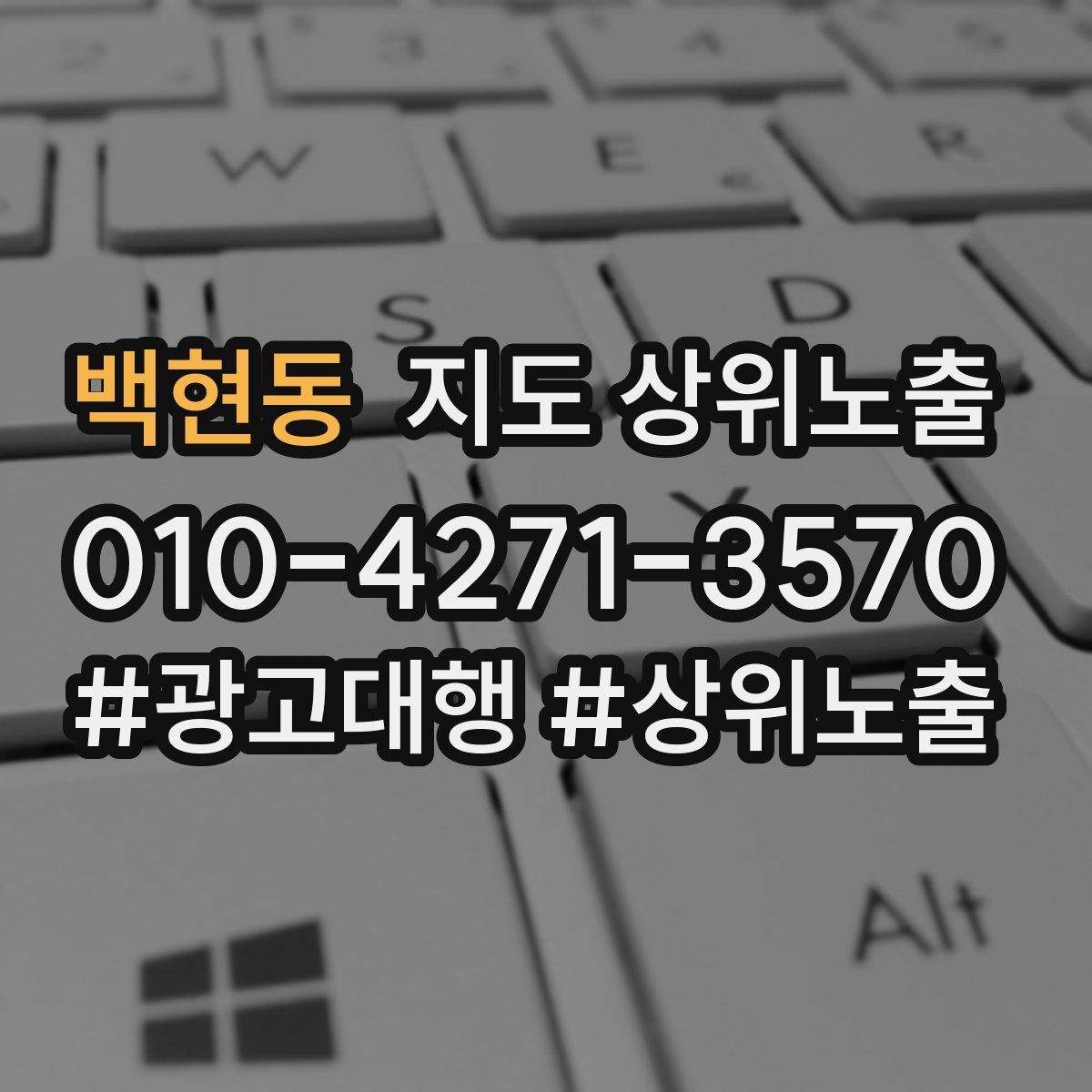 백현동 지도 상위 노출