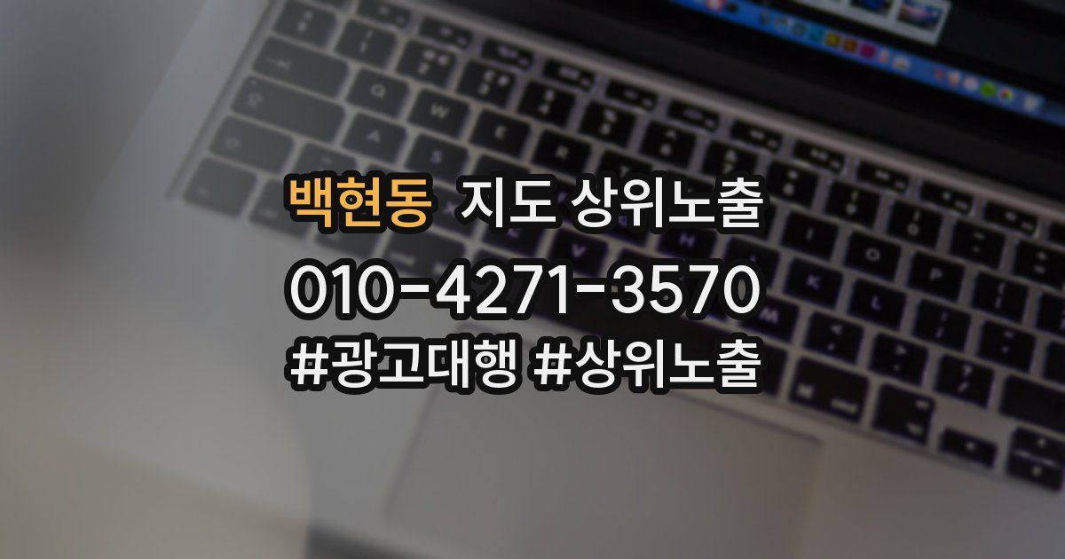 백현동 지도 상위 노출