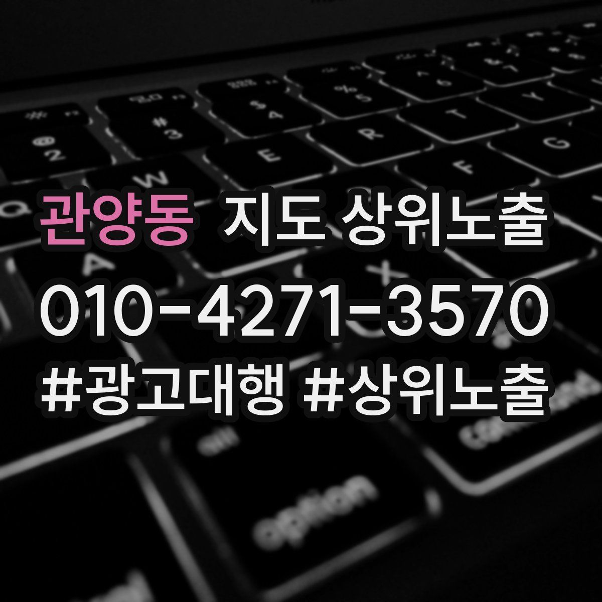 관양동 지도 상위 노출