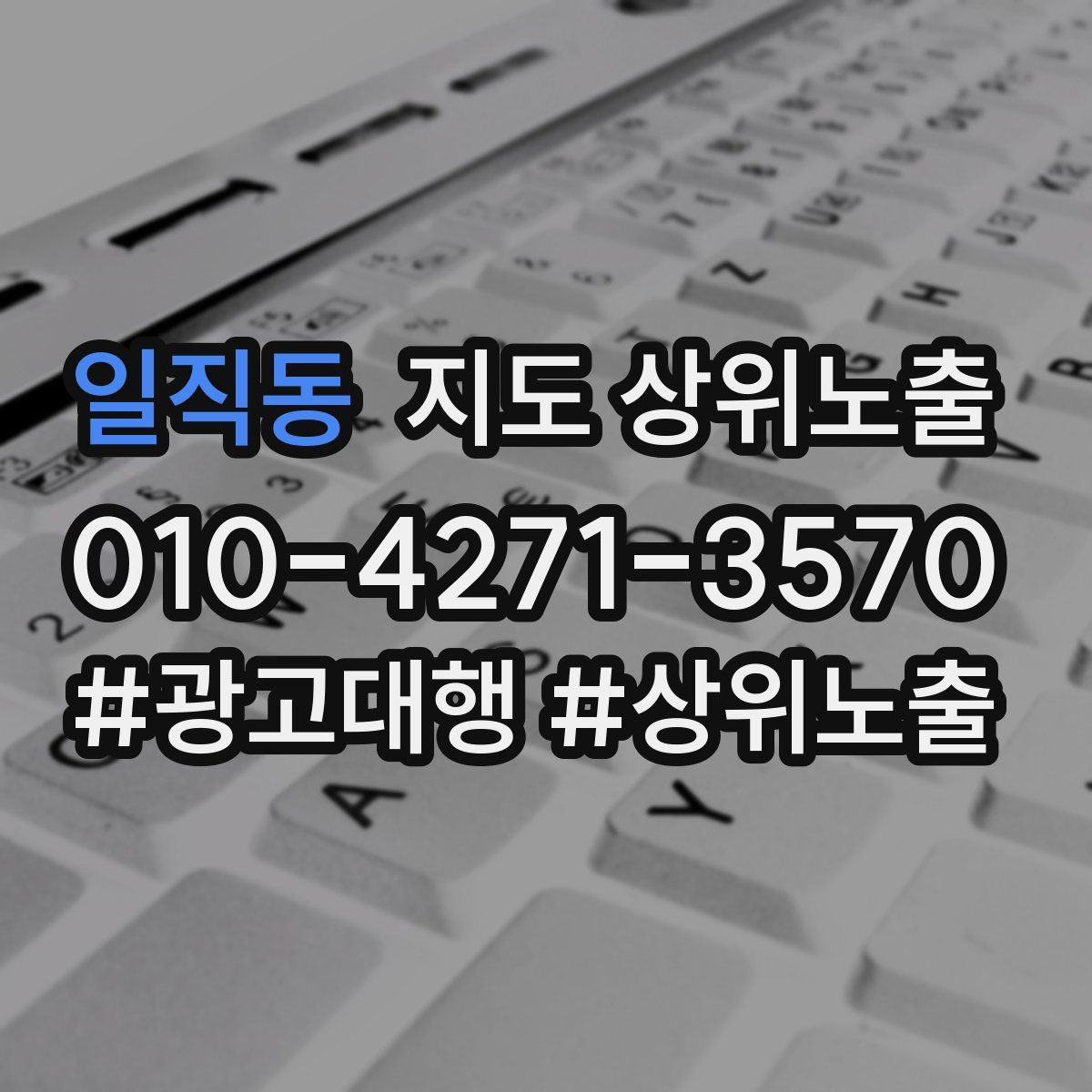 일직동 지도 상위 노출