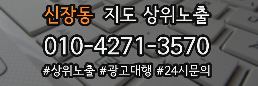 신장동 지도 상위 노출