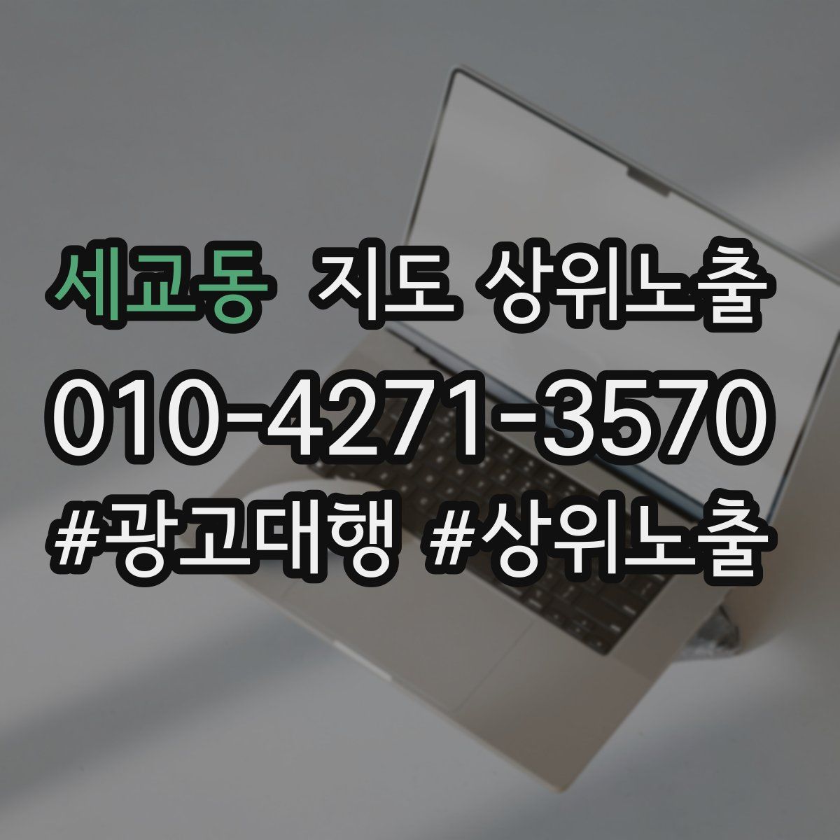 세교동 지도 상위 노출