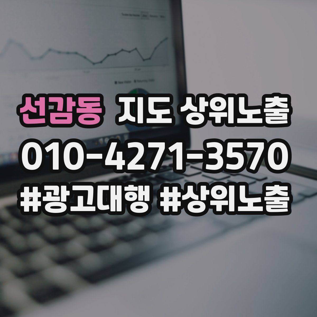선감동 지도 상위 노출