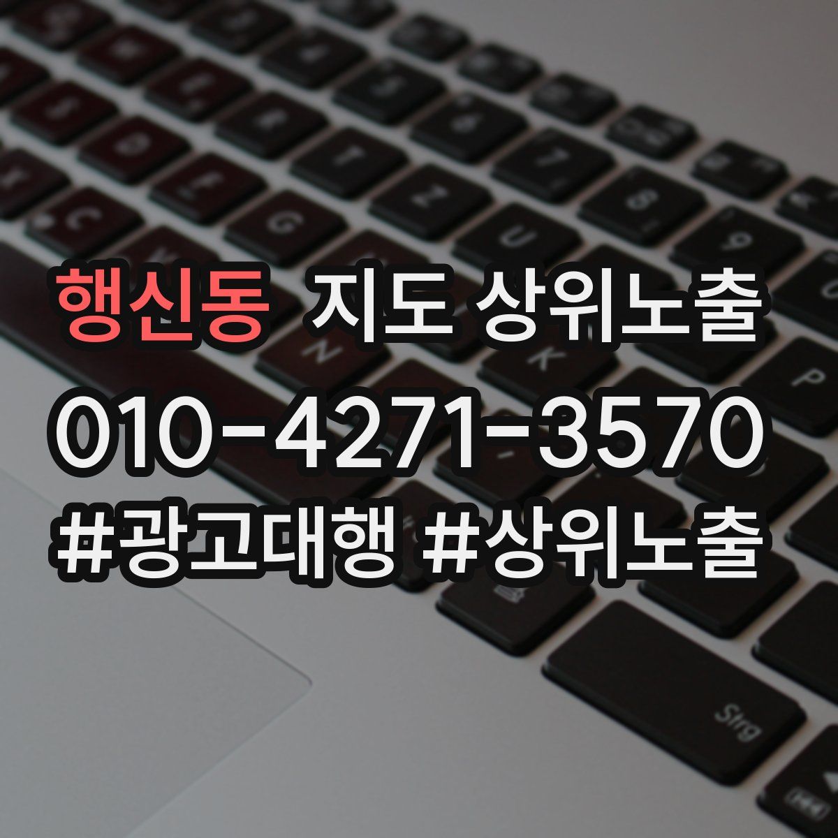 행신동 지도 상위 노출