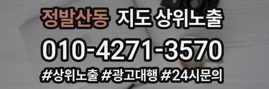 정발산동 지도 상위 노출