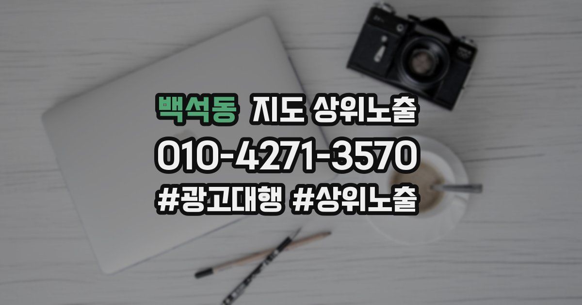 백석동 지도 상위 노출