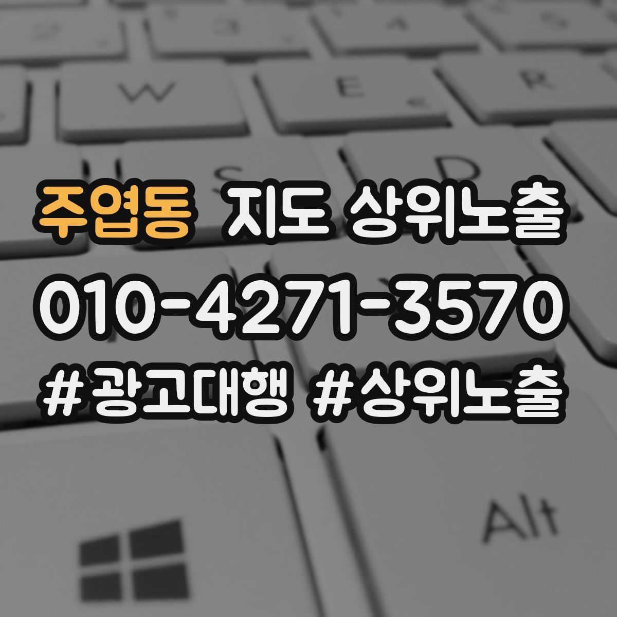 주엽동 지도 상위 노출